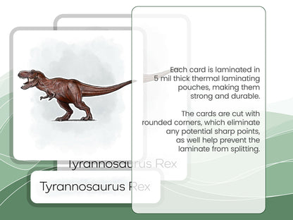 Nomenclature Cards Set - Illustrated Dinosaurs