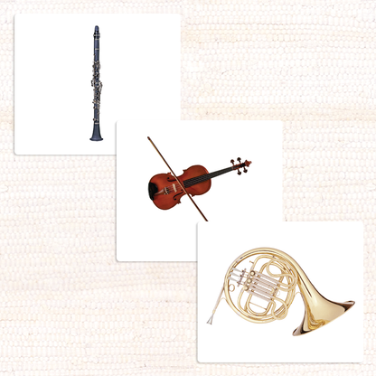 Orchestral Musical Instruments Vocabulary