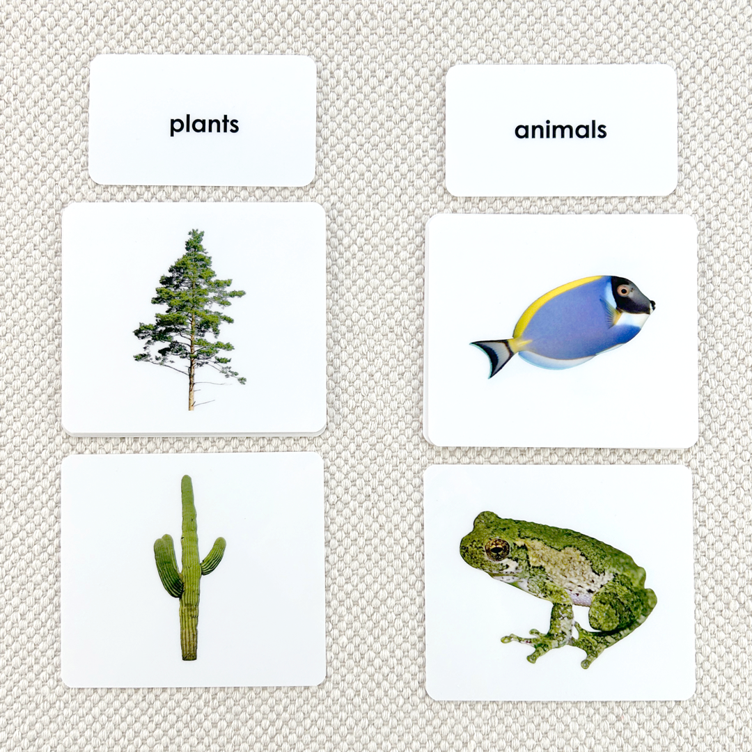 Plant/Animal Kingdom Sorting