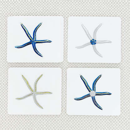 Parts of the Sea Star Vocabulary