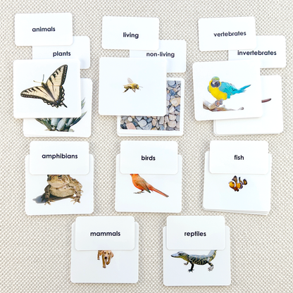 Sorting Set