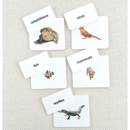 Sorting Set