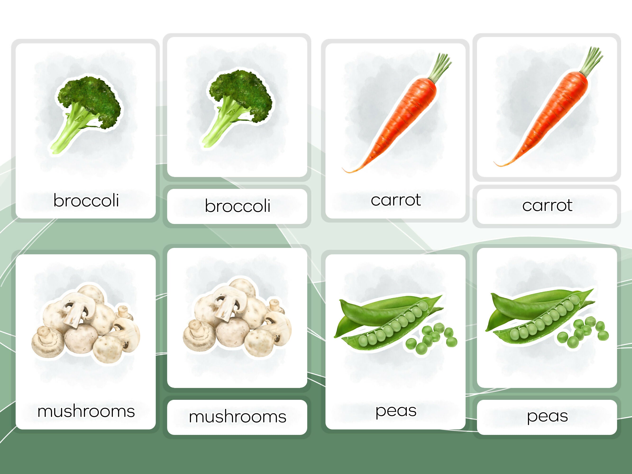 Nomenclature Cards Set - Illustrated Vegetables