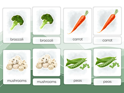 Nomenclature Cards Set - Illustrated Vegetables