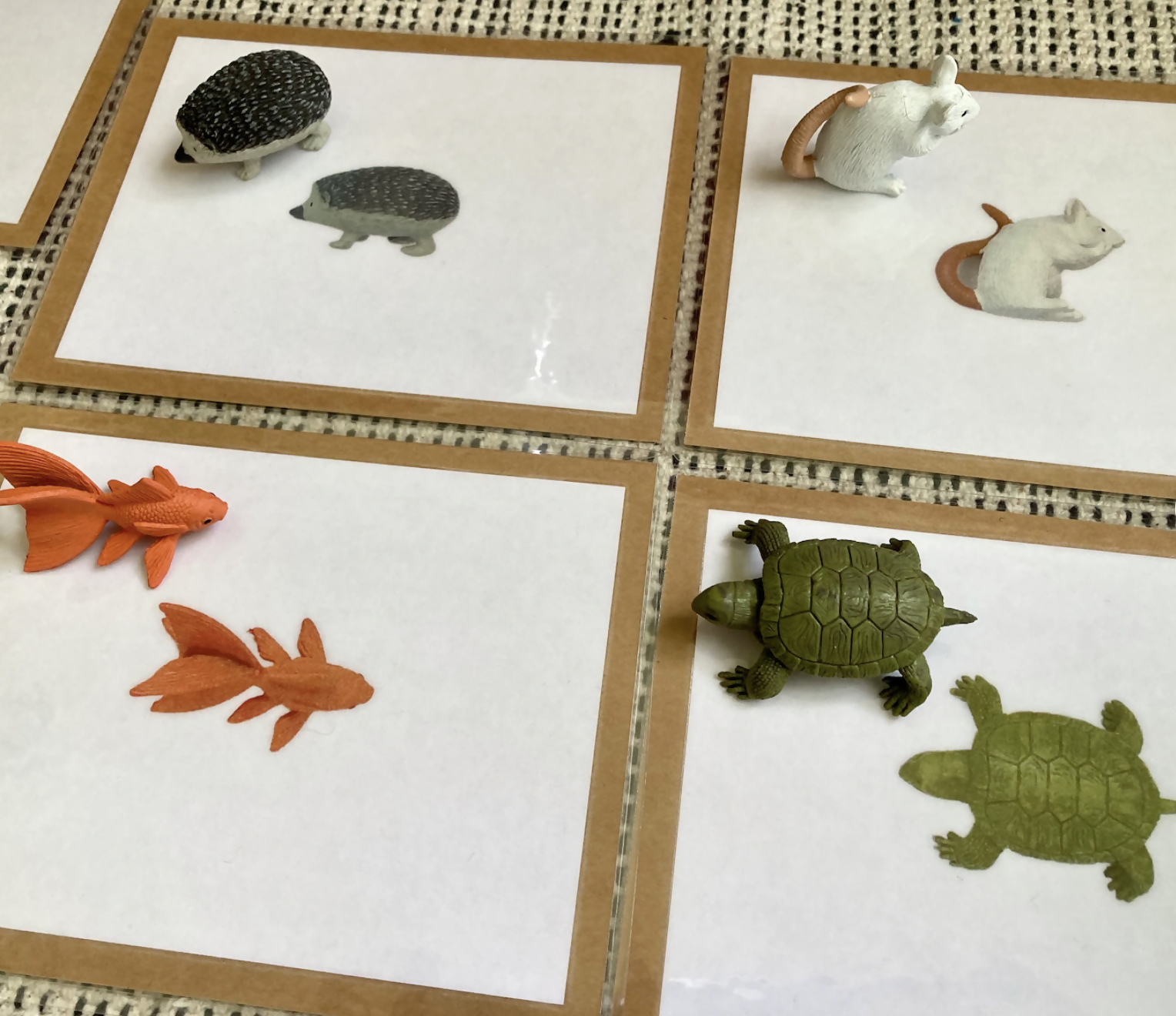 Exact Matching Language Objects and Digital PDF Cards - Pets - Montessori Toddler Activity for Vocabulary development
