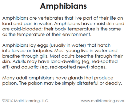 Amphibians Vocabulary
