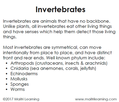 Invertebrates/Vertebrates Sorting