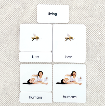 Living 3-Part Reading